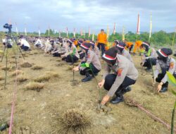 Lestarikan Negeri, Polda Sultra Tanam 20 Ribu Bibit Mangrove