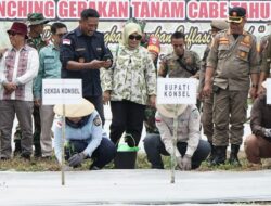Komitmen Tekan Inflasi, Pemda Konsel Luncurkan Gerakan Tanam Cabai di Moramo Utara