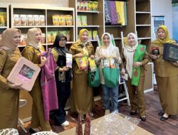 Dekranasda Konawe Selatan Gandeng PNM Persero, UMKM Lokal Siap Naik Kelas